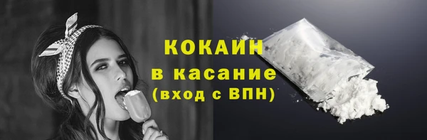 индика Приозерск